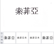 第10145219号“索菲亞”商标不予注册复审决定书
