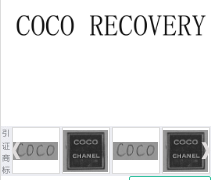 第17244263号“COCO RECOVERY”商标不予注册复审决定书