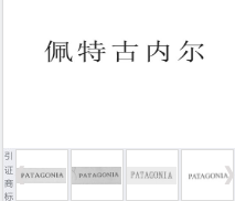 第17100238号“佩特古内尔”商标不予注册复审决定书
