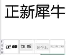 第16581713号“正新犀牛”商标不予注册复审决定书