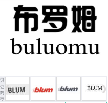第16202599号“布罗姆buluomu”商标不予注册复审决定书