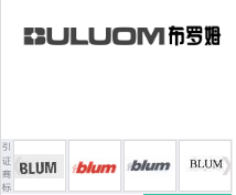第15903482号“布罗姆BULUOM”商标不予注册复审决定书