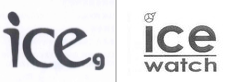 第14174729号“ICEG”商标不予注册复审决定书