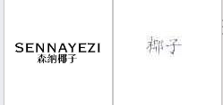 第36898964号“森纳椰子 SENNAYEZI”商标不予