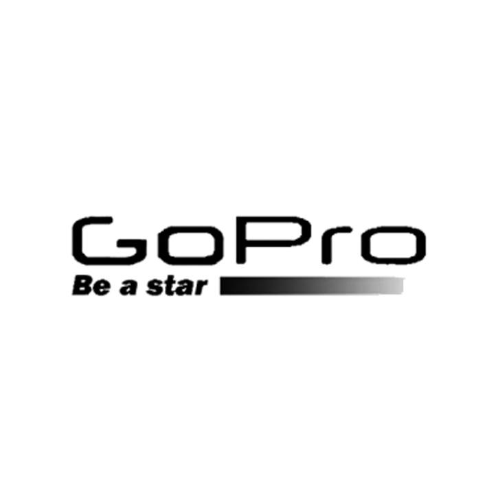 第34295513号“GOPRO BE A STAR”商标准予注册的决定