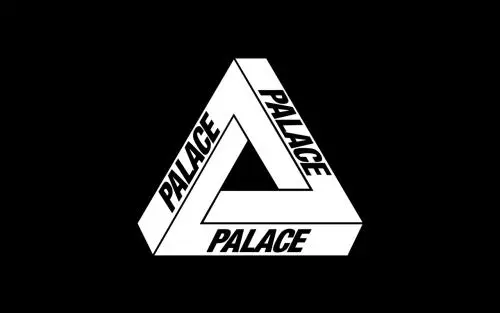 第39134772号“PALACE LDN”商标不予注册的决定