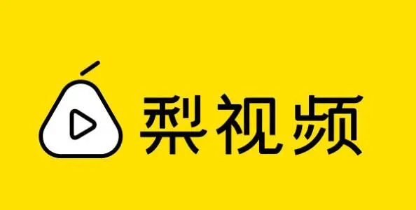 梨视公司与字节跳动公司信息网络传播权侵权纠纷上诉案