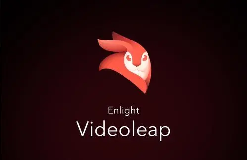 第38496487号“VIDEOLEAP”商标准予注册的决定