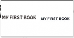 第32954324号“MY FIRST BOOK”商标驳回复审决定书