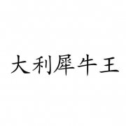 “大利犀牛王”商标撤销复审案