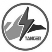 “TANGER 及图”商标驳回复审