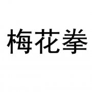 “梅花拳”商标撤销复审案