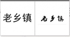 “老乡镇”商标驳回复审
