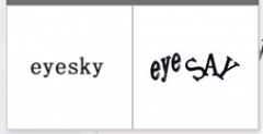 “eyesky”商标驳回复审