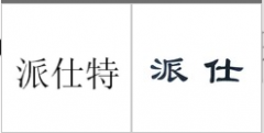 “派仕特”商标驳回复审