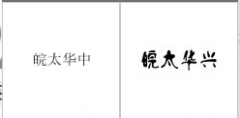 “皖太华中”商标驳回复审