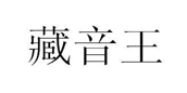 “藏音王”商标无效宣告