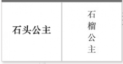 “石头公主”商标驳回复审