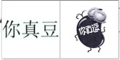 “你真豆”商标驳回复审