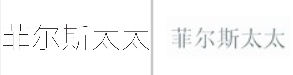 “菲尔斯太太”商标无效宣告