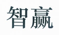 “智赢”商标撤销复审案