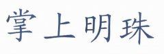“掌上明珠”商标撤销复审案