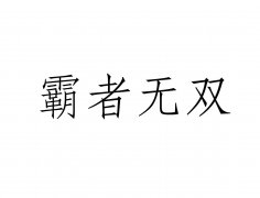 “霸者无双”商标撤销复审案