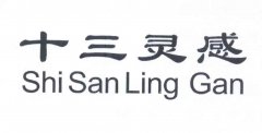“十三灵感SHISANLINGGAN”商标撤销复审案