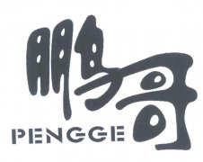 “鹏哥PENGGE”商标撤销复审案