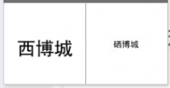 “西博城”商标驳回复审