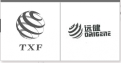“TXF及图”商标驳回复审