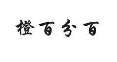 “橙百分百”商标驳回