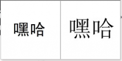 “嘿哈”商标驳回复审