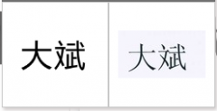 “大斌”商标驳回复审