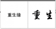 “重生缘”商标驳回复审