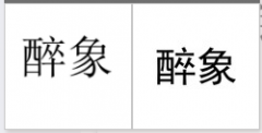“醉象”商标驳回复审