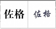 “佐格”商标驳回复审