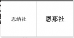 “恩纳社”商标驳回复审