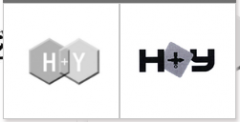 “H+Y及图”商标驳回复审