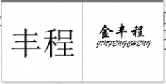 “丰程”商标驳回复审