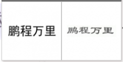 “鹏程万里”商标驳回复审
