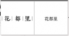 “|花|都|里|”商标驳回复审