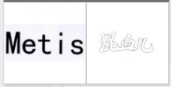 “Metis”商标驳回复审