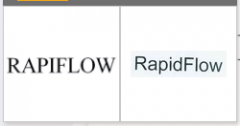 “RAPIFLOW”商标驳回复审