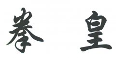 “拳皇”商标撤销复审案