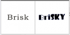 “BRISK”商标驳回复审