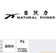 “自然力 NATURAL POWER及图”商标驳回复审