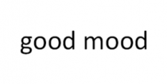 “good mood”商标驳回复审
